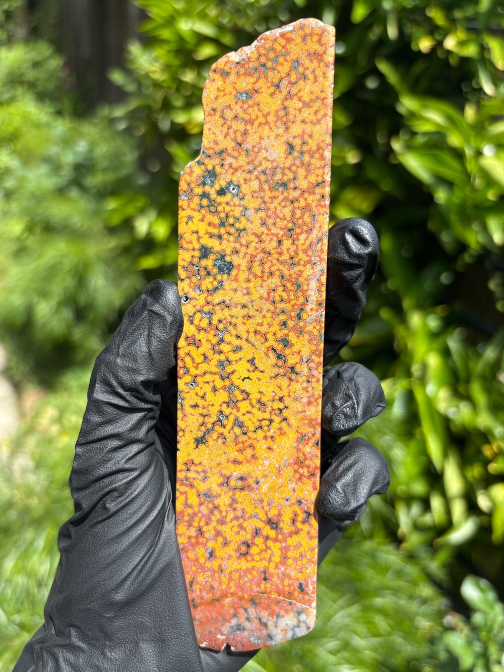 Large Ocean Jasper Crystal Slab - Orbicular Jasper - Sea Jasper - Polished